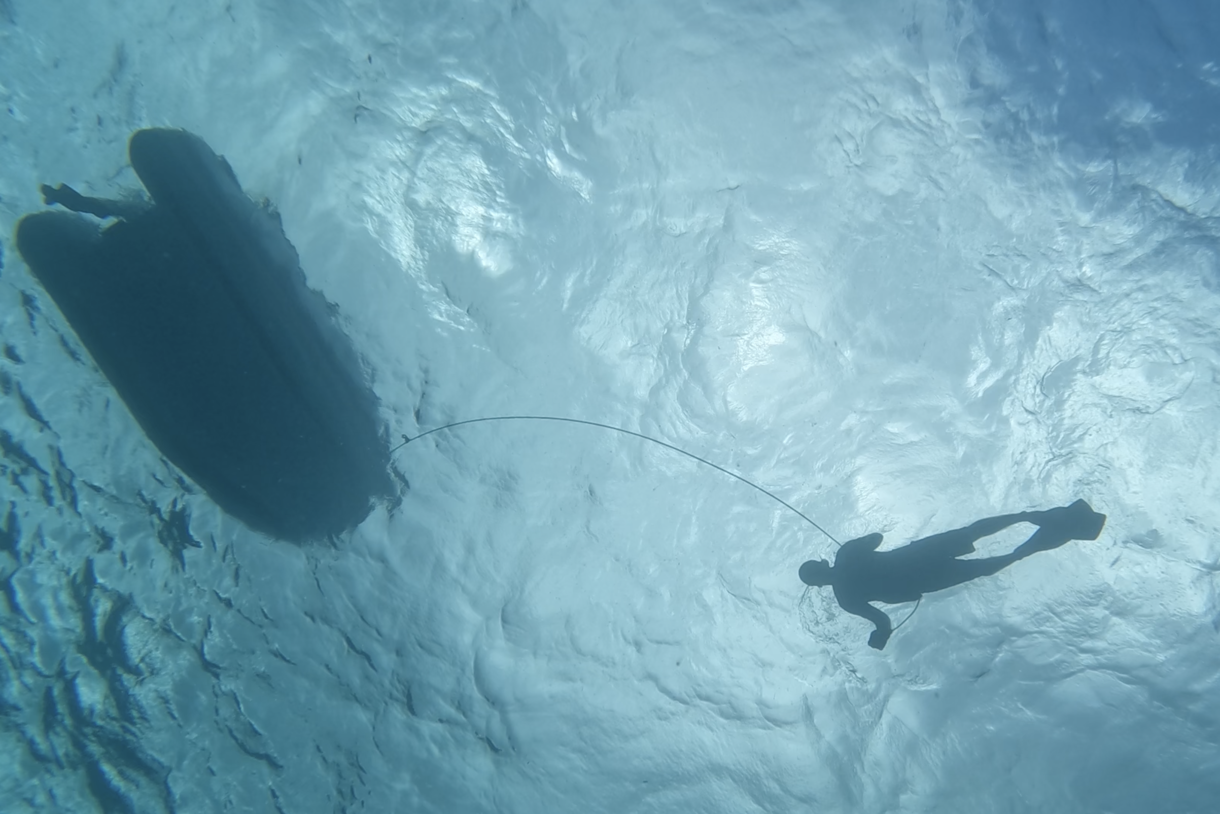 Bouncing around the windward islands