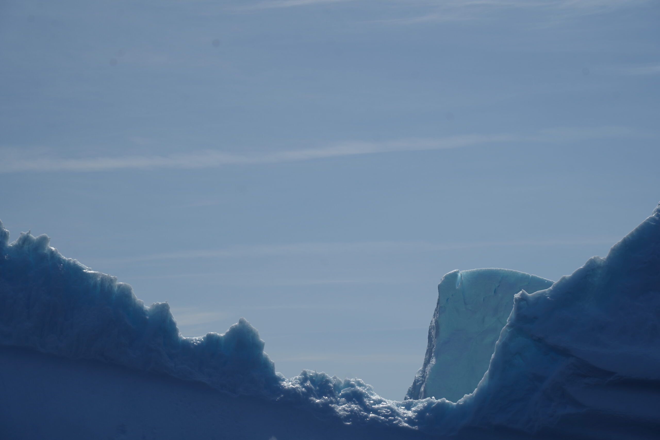 Best Kind | Newfoundland