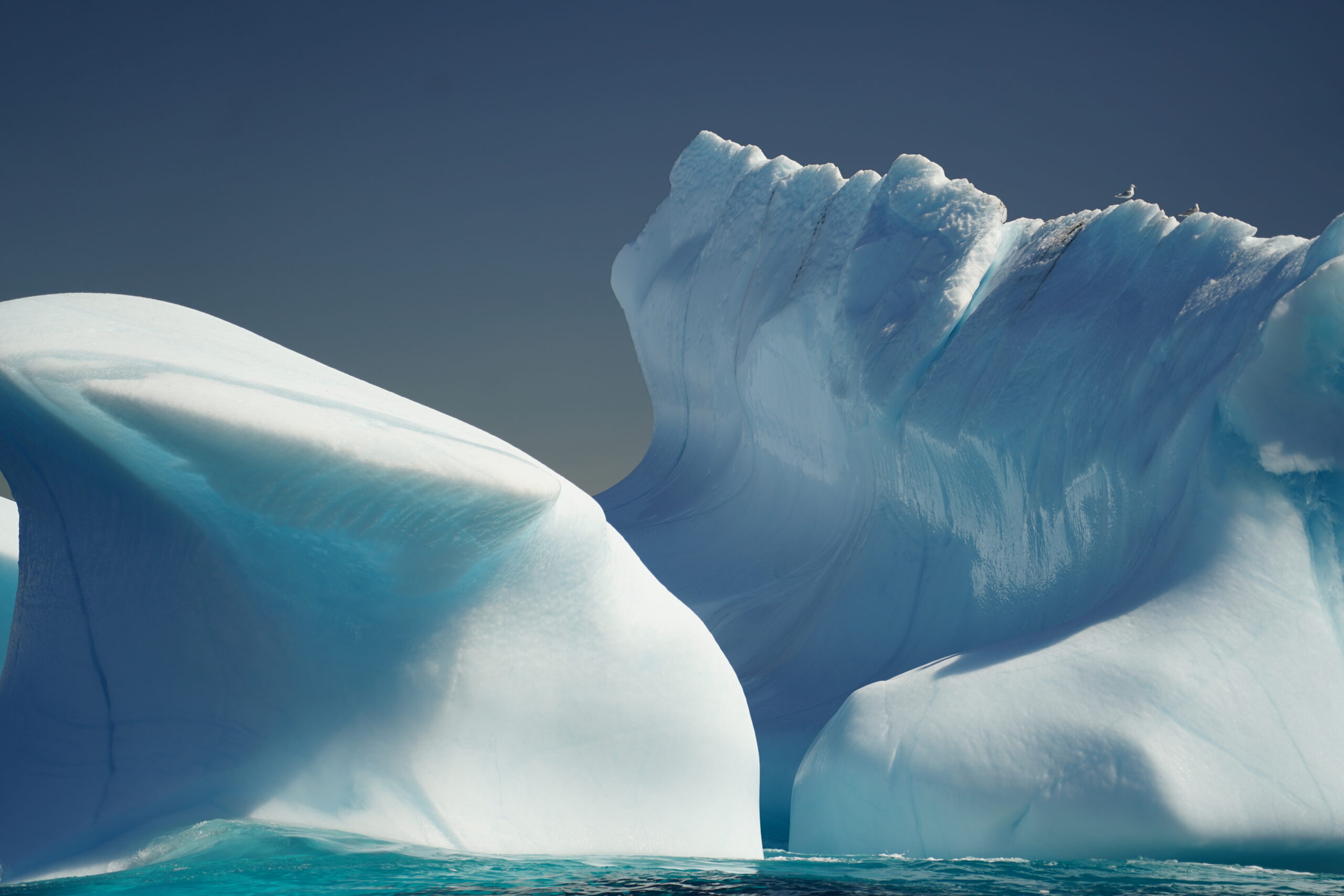 Greenland | a month of fog, beauty and utter awe.